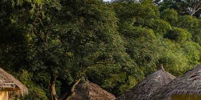Taï forest lodges - Photo 2