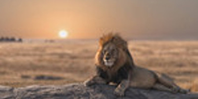 Tanzania safari-5 day - Photo 10
