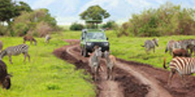 Tanzania safari-5 day - Photo 11