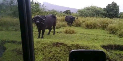 Tarangire ,ngorongoro ,manyara - Photo 13