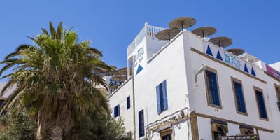 Taros - Photo 2