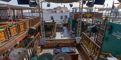 Taros - Photo 5