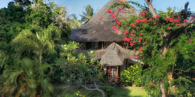 Temple Point Resort - Photo 1