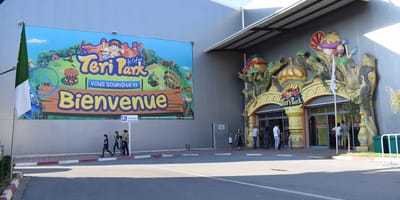 Teri Park - Photo 1