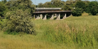 Thamalakane River - Photo 1
