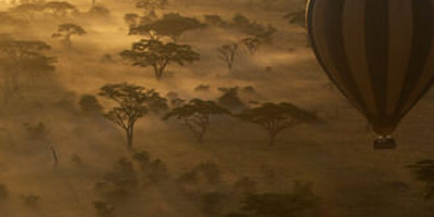 The great migration safari - Photo 7