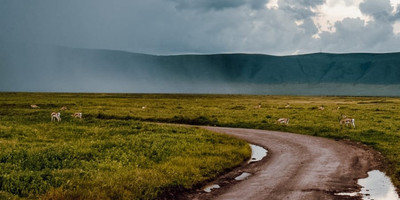 The great migration safari - Photo 16