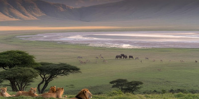 The great migration safari - Photo 14