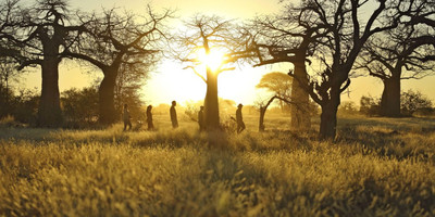 The great migration safari - Photo 8