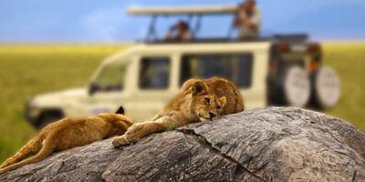 The great migration safari - Photo 5