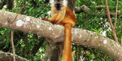 Madagascar north west paradise - Photo 6