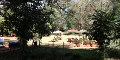 The Purdy Arms - Photo 5