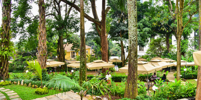 The Roots Restaurant - Photo 1