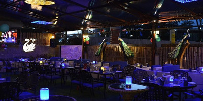 The Mayura - Photo 3
