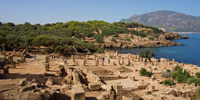 Tour guide algeria - Photo 1