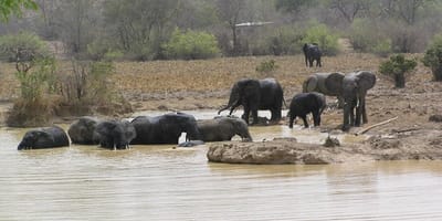 Safari tour of northern ghana - Photo 1