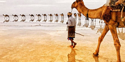 Tour organzior & tour guid ; we provide tours ,group tour , private tours , solo trip , adventure tour , family with kids trip , couples trip ,human photography expeditions - Photo 2