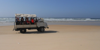 Tours en 4x4 et 8x8 au Lac Rose - Photo 1
