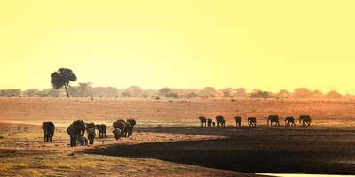 Tsavo east and west safari - Photo 4