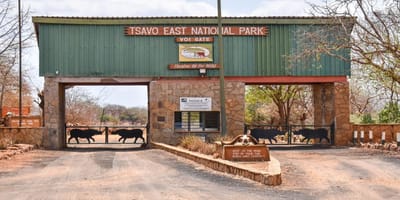 Tsavo east and west safari - Photo 5