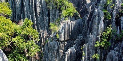Tsingy of bemaraha expedition - Photo 9