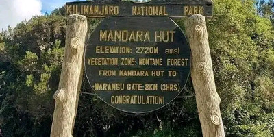 Two days one night mount kilimanjaro climbing via marangu - Photo 10