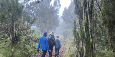 Two days one night mount kilimanjaro climbing via marangu - Photo 5