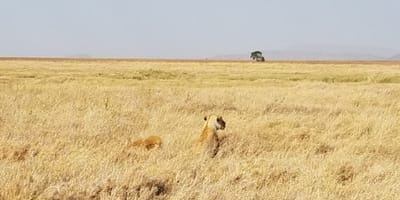 Ultimate tanzania - Photo 2