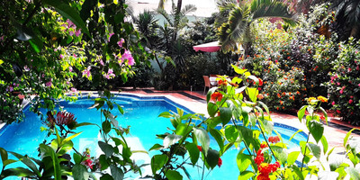 Villa Mia - Photo 3