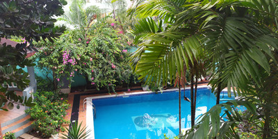 Villa Mia - Photo 5
