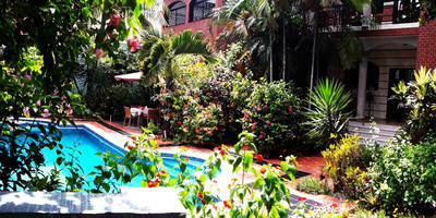Villa Mia - Photo 2