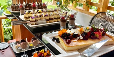 Vineyard Bar & Restaurant - Photo 1