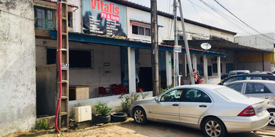Vitalis - Photo 1