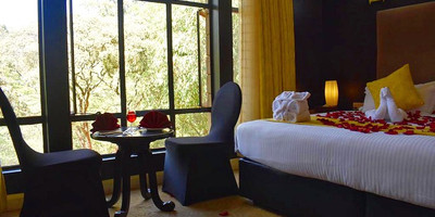 Westwood hotel - Photo 8