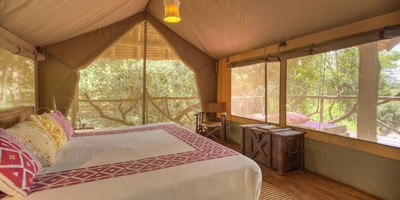 Wildlife safari: 5-day maasai mara, lake nakuru & naivasha - Photo 9