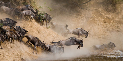 Wildlife safari: 5-day maasai mara, lake nakuru & naivasha - Photo 13