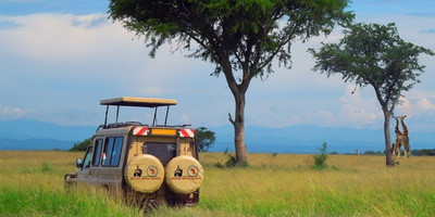 Wildlife safaris in east africa - Photo 1