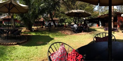 Woodlands Cafe - Photo 4