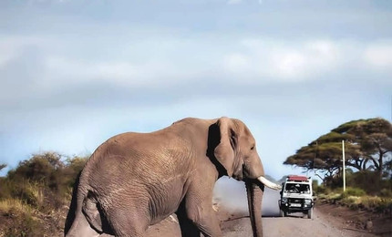 5 Raisons de visiter le Kenya