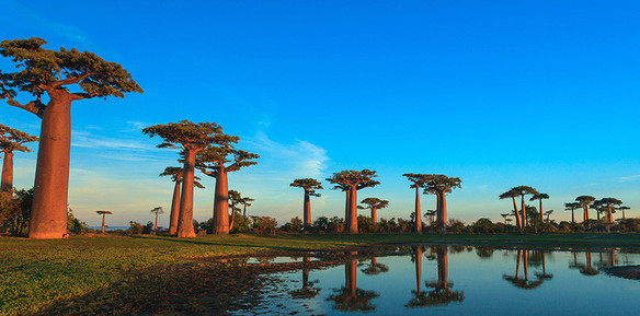 travel to Madagascar