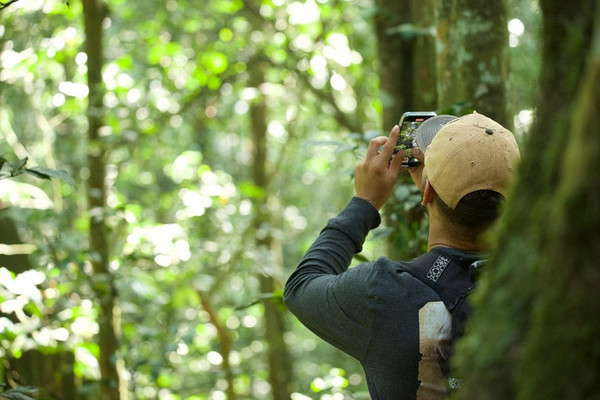 3 day gorilla trekking in bwindi community batwa walk nmuxeUS3X6.jpg