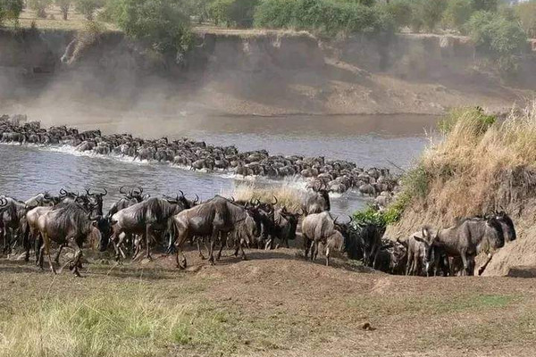 4 day masai mara lake nakuru exploration EByQjDroHM.jpg