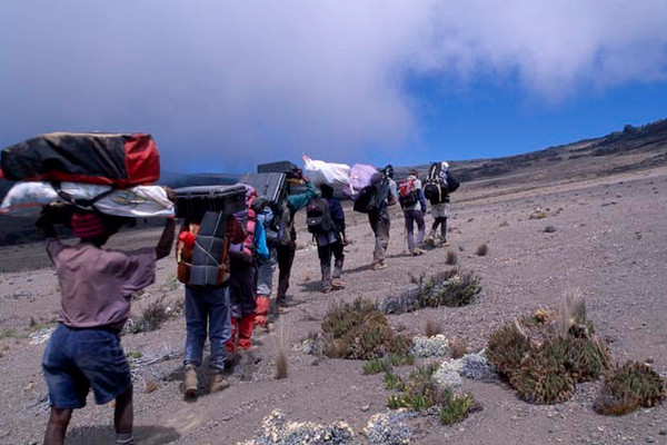 7 days kilimanjaro trek via lemosho route Snqgbqj6P6.jpeg