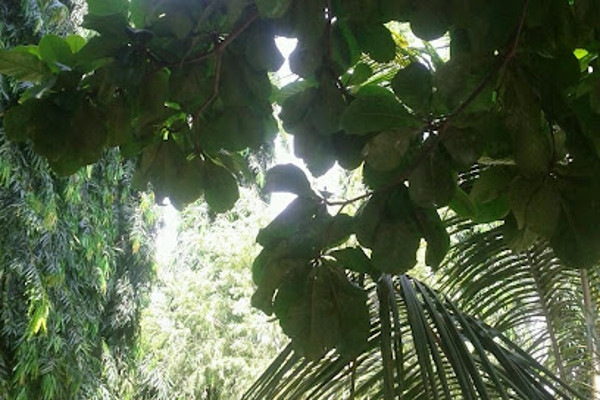 beijing restaurant.jpg