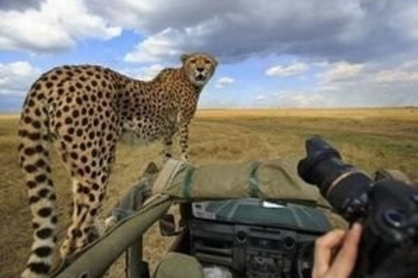 budget safari serengeti ngorongoro crater G6diR.jpg