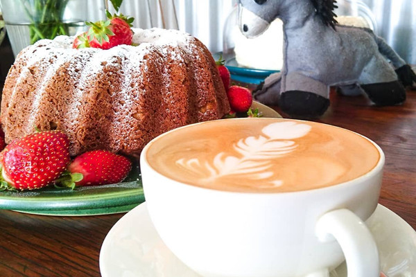 dusty donkey cafe.jpg