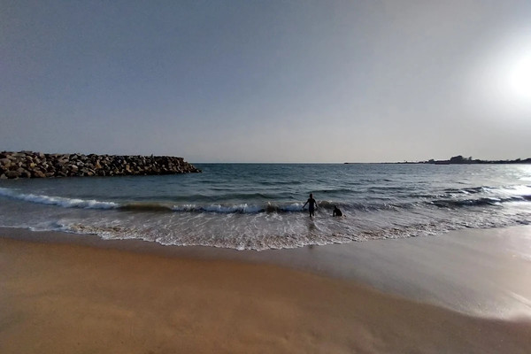 garden dona beach 1740433279.jpg