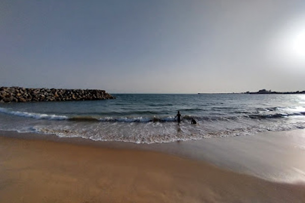 garden dona beach.jpg