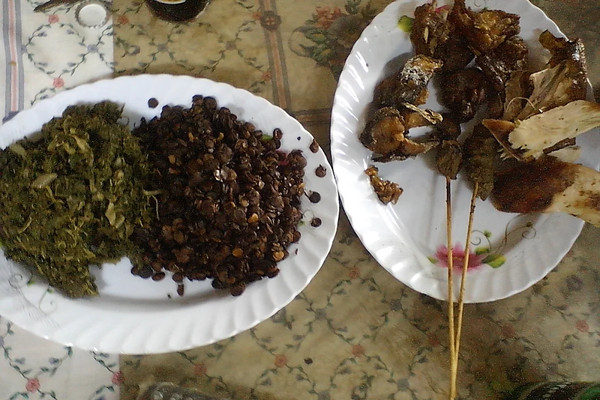 le glacier 1740433578.jpg