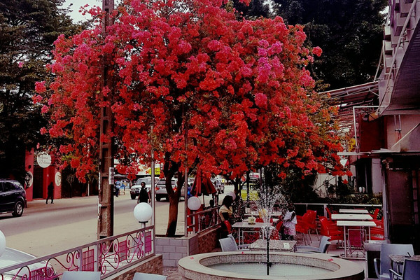 le petit cafe abidjan 3.jpg